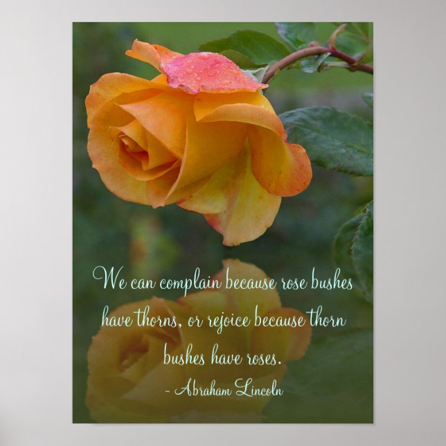 Rosas e Thorns Inspirational Poster (Frente)