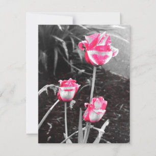 Rosas em Forma de Lágrima -Design 2