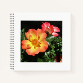 Rosas Laranja Brilhante - Caderno Espiral de Aspec