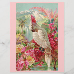 Rosas Rosa Cockatoo