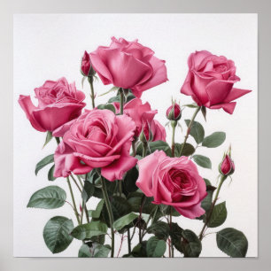 Rosas Rosa, Impressão de Arte Flor Poster