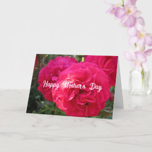 Rosas Rosa Quente - Cartão Personalizado do Dia da