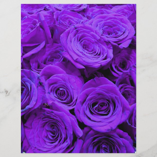 rosas roxas violetas românticas, belo buquê de ros (Frente)