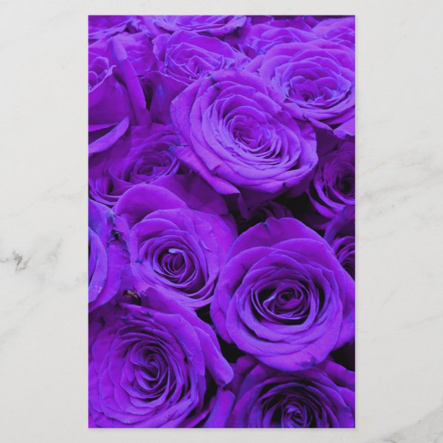 rosas roxas violetas românticas, buquê de rosa bon (Frente)