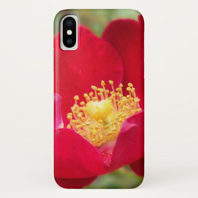 Rosas São capas de iphone Vermelha (Verso)