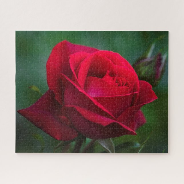 Rosas são Quebra-cabeça de quebra-cabeça vermelho  (Horizontal)