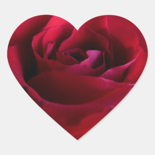 Rosas vermelhas Autocolantes Românticos Presentes