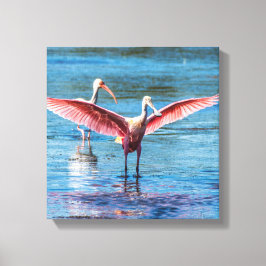 Roseate Spoonbill 12" x 12" Canvas