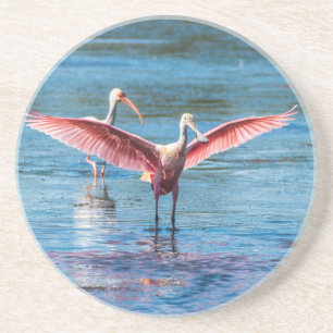Roseate Spoonbill Porta copos Sandstone