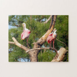 Roseate Spoonbill Quebra-cabeça
