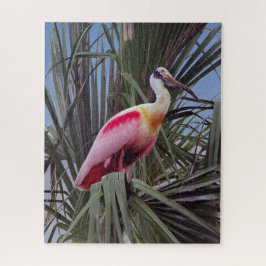 Roseate Spoonbill quebra-cabeça