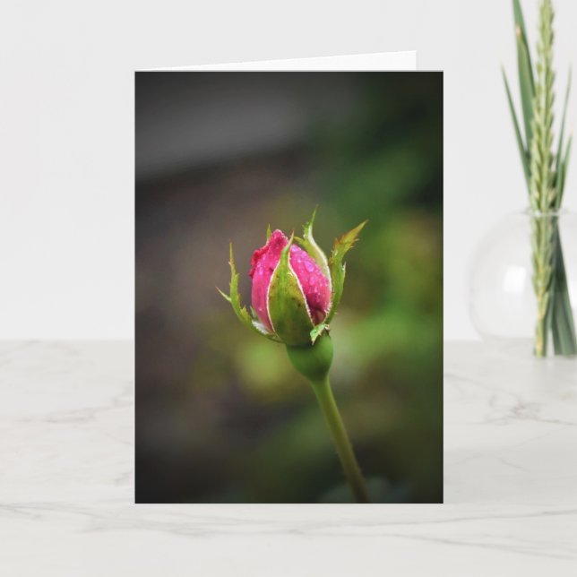 Rosebud, cartão (Frente)