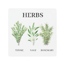 Rosemary Thyme Sage Herbs Watercolor Kitchen Chef