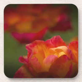 Rosey Cork Porta copos