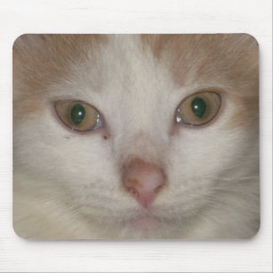 rosto de gatinho 1 mousepad