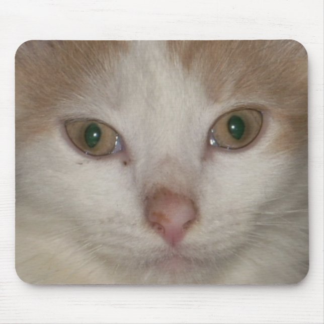 rosto de gatinho 1 mousepad (Frente)