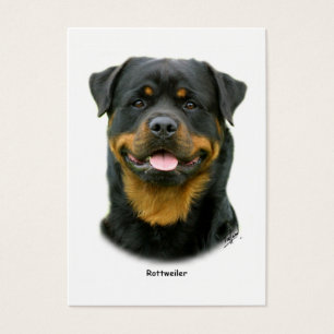 Rottweiler