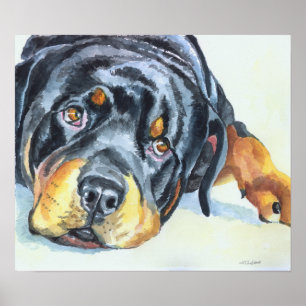 Rottweiler Art Impressão