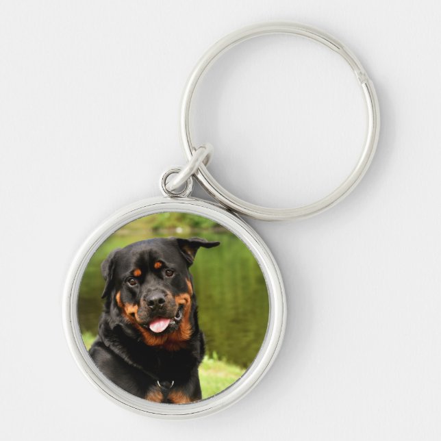 Rottweiler, Chaveiro feliz (Frente)