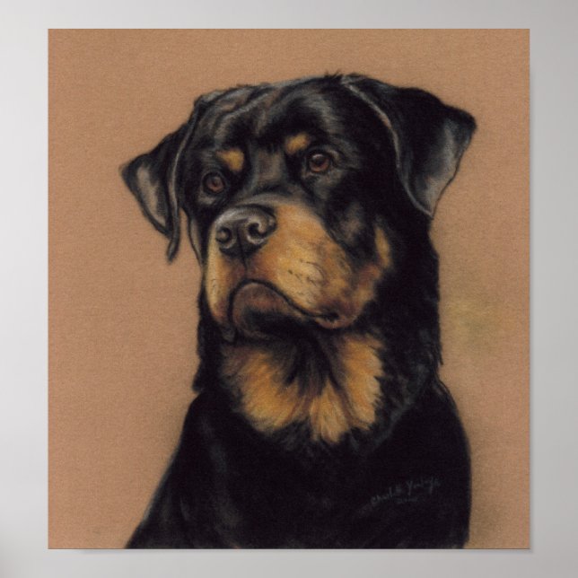 Rottweiler Dog Art Impressão (Frente)