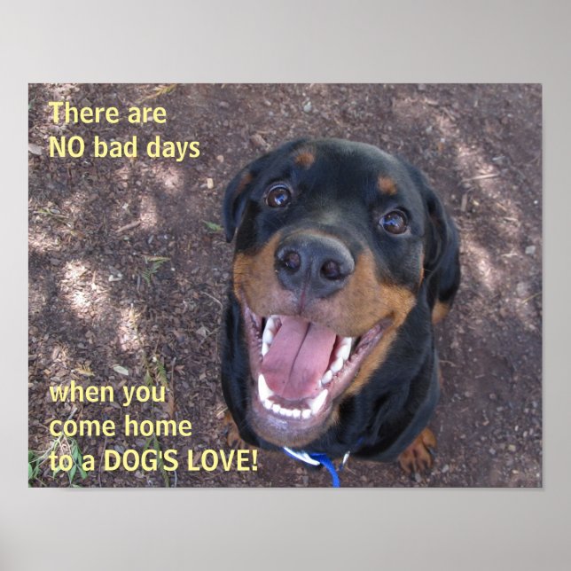 Rottweiler Dog's Love Poster (Frente)