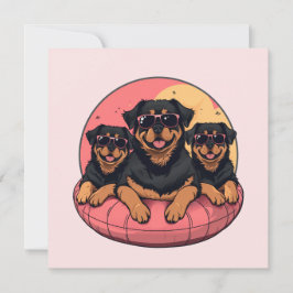 Rottweiler Dogs Summer Piscinas Floties