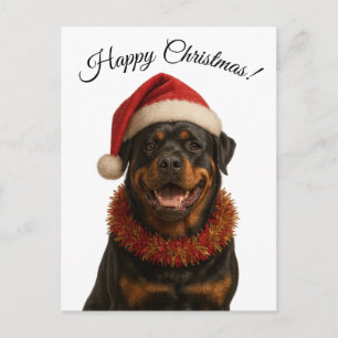 Rottweiler fofo com um cartão postal de Natal do c