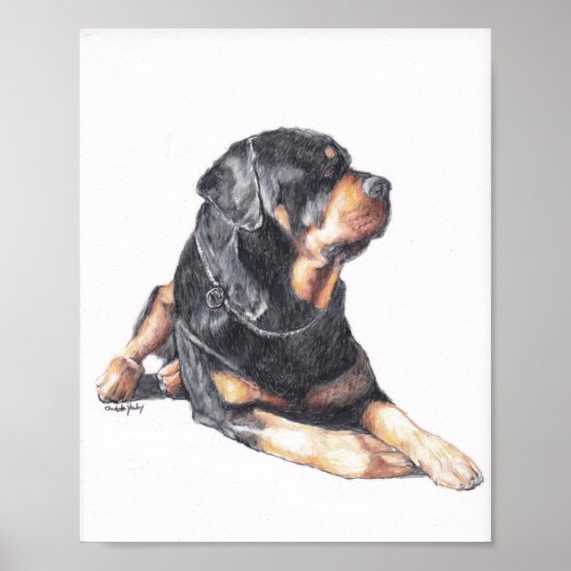 Rottweiler Lay Dog Art Impressão (Frente)