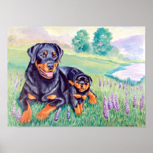 Rottweiler Poster