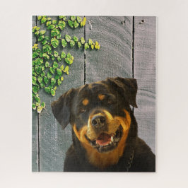 Rottweiler Smiling Quebra-cabeça