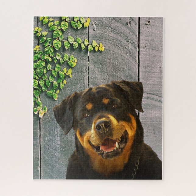 Rottweiler Smiling Quebra-cabeça (Vertical)