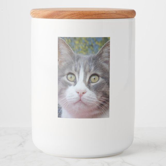 Rótulo de Contentor de Comida de Gato Bonito (Frente)