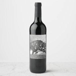 RÓTULO DE GARRAFA DE CERVEJA ÁRVORE DE COR SOLTA