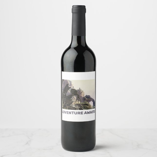 Rótulo De Garrafa De Cerveja Aventura Espera. Paisagem de fantasia (Frente)