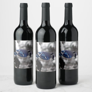 Rótulo De Garrafa De Cerveja Blue Jay de inverno 