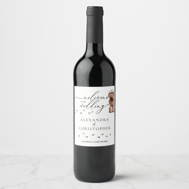 Rótulo De Garrafa De Cerveja Cachorro Cavapoo Marrom Casamento Fofo (Frente)