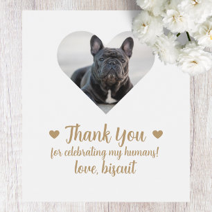 Rótulo De Garrafa De Cerveja Cão Fotográfico Personalizado Eu Faço Muito Rótulo