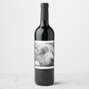 Rótulo De Garrafa De Cerveja cãozinho-pastor australiano