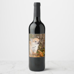 Rótulo De Garrafa De Cerveja Chihuahua    