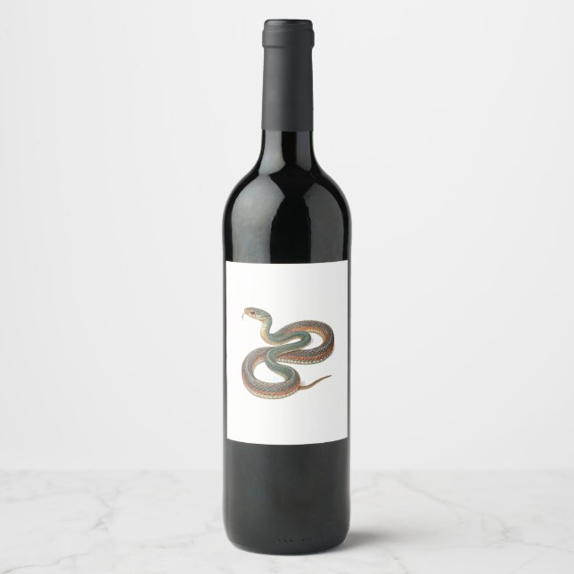 Rótulo De Garrafa De Cerveja Cobra (Frente)