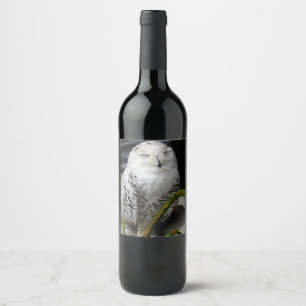 Rótulo De Garrafa De Cerveja Coruja nevado bonito