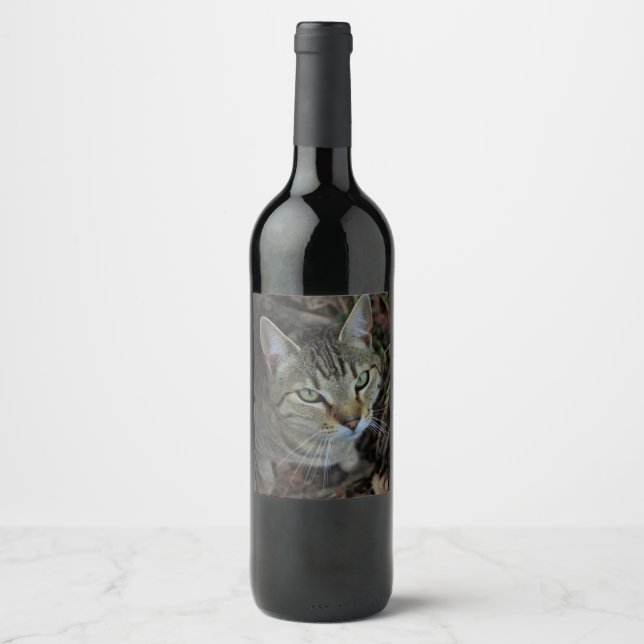 Rótulo De Garrafa De Cerveja Eros (Frente)