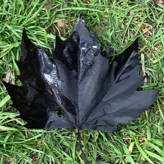 Rótulo De Garrafa De Cerveja Food and Beverage Label Set .