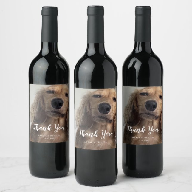 Rótulo De Garrafa De Cerveja Foto de Cachorro Personalizado (Garrafas)