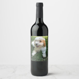 Rótulo De Garrafa De Cerveja Foto de Cavachon Personalizada, Cão
