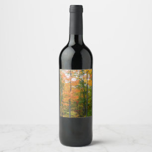 Rótulo De Garrafa De Cerveja Fotografia da Natureza de Outono de Árvores de Bor