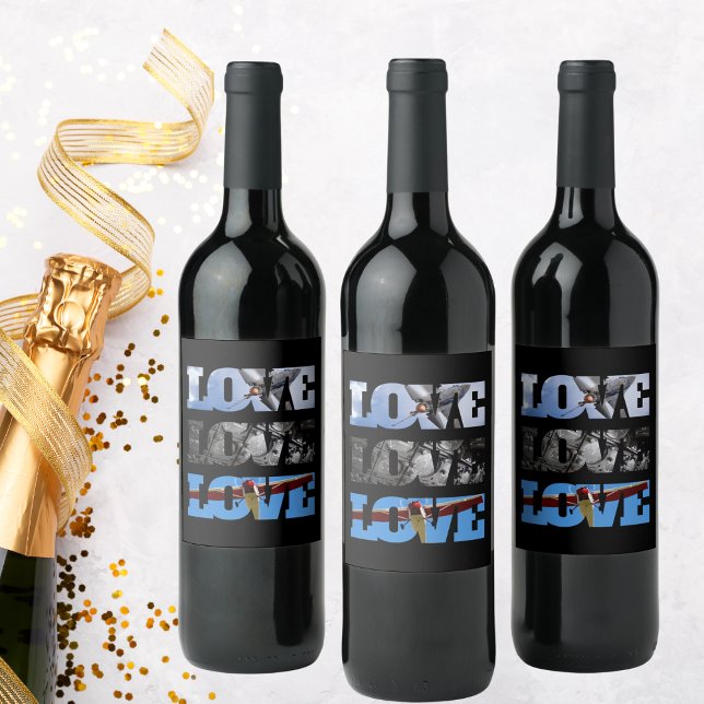 Rótulo De Garrafa De Cerveja Fotos de avião em quadro LOVE, Avião Aniversário W (Criador carregado)