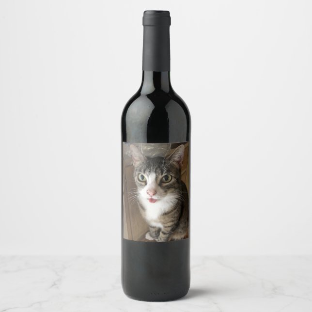 Rótulo De Garrafa De Cerveja Gato (Frente)