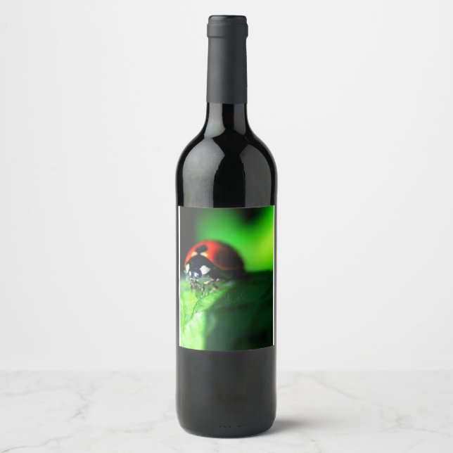 Rótulo De Garrafa De Cerveja Ladybug (Frente)