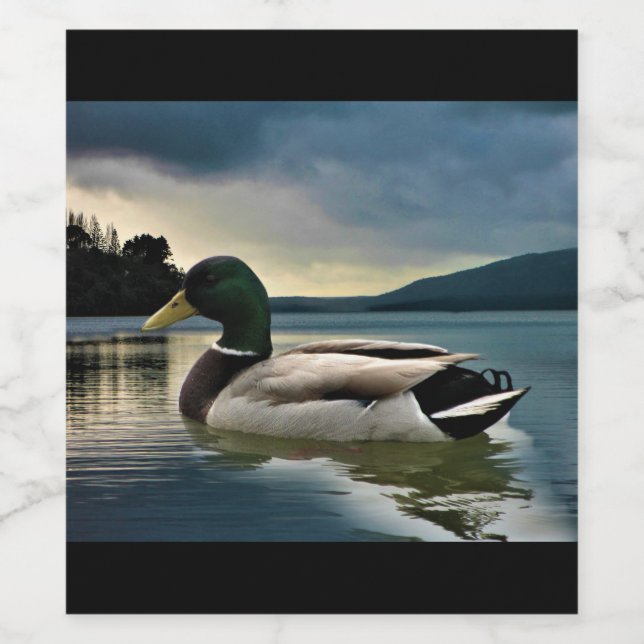 Rótulo De Garrafa De Cerveja Mallard Duck No Lago (Rótulo Único)